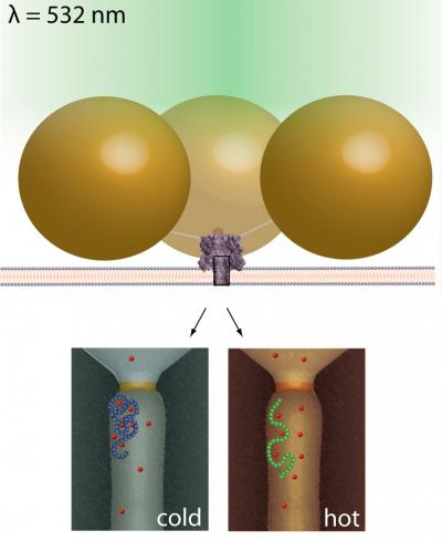 Temp-Controlled 'Nanopores' May Allow Detailed Blood Analysis