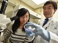 Simin Lu and Fumihiko Urano, Washington University School of Medicine