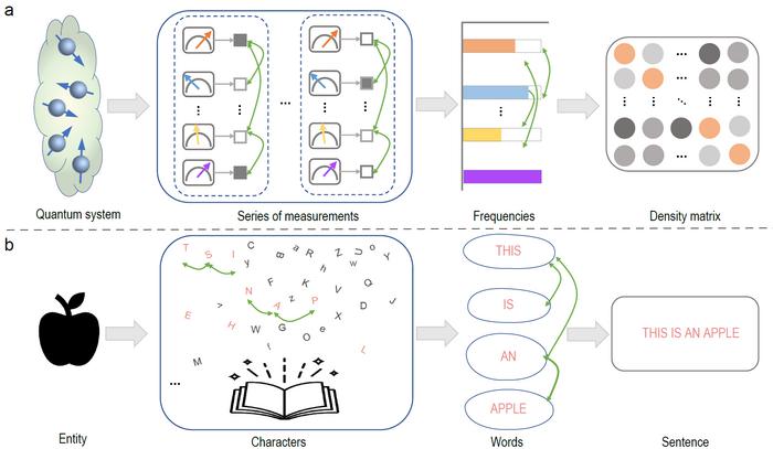 Analogy between quantum tomography and language modeling