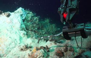 Sampling fluids of 180 degree Celsius at the White Sealhound structure. Photo: MARUM – Center for Marine Environmental Sciences, University of Bremen