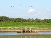 Farming in Llanos de Mojos (1 of 2)