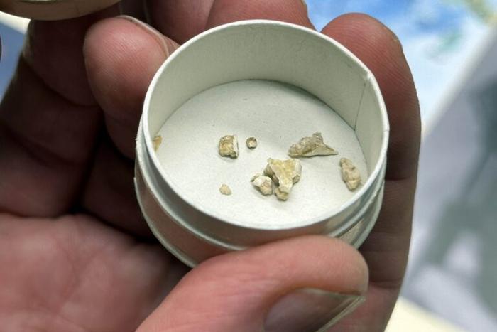 Darwin's coralline algae