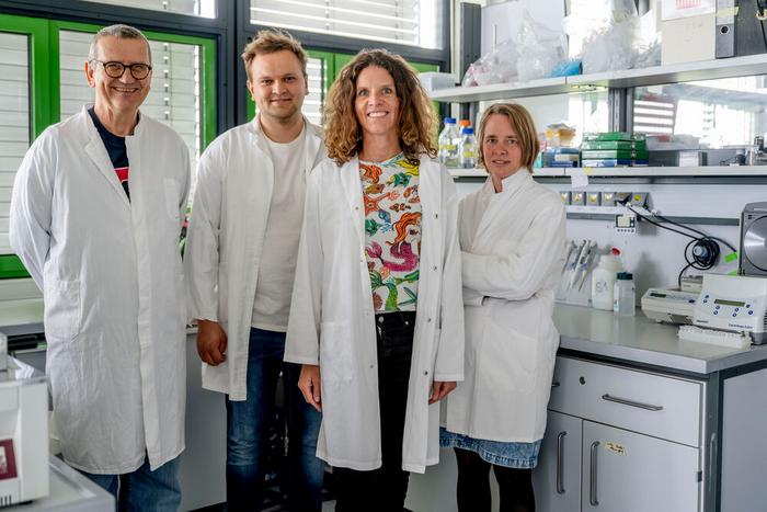 Stefan Herlitze, Til Böttner, Mareike Huhn, and Ida Siveke (from left) participated in the study.