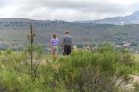 Meadowlark Walkers FoCo