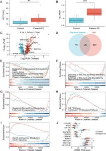 Early transcriptomic alterations reveal multiple-system dysregulation in pregnancies that develop PE.
