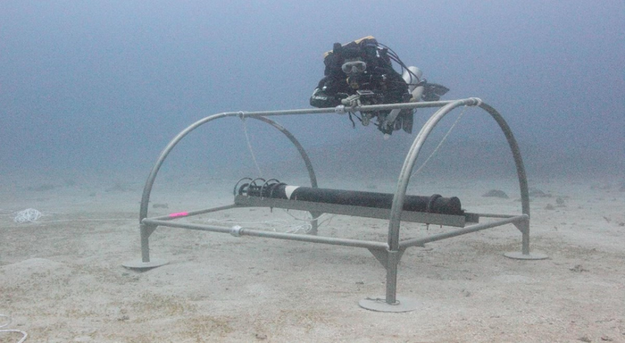 hydrophone