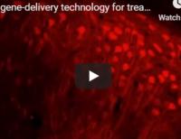 Novel Technology Aims to Improve Treatment of Neurological Diseases