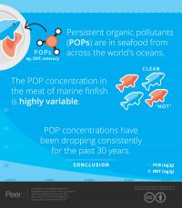 Fish Pollutant Infographic