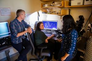 UPMC Hillman Cancer Center Researchers