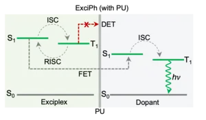Figure 2. Exciton energy transfer pathways in the exciplex-assisted phosphorescent layer (ExciPh)