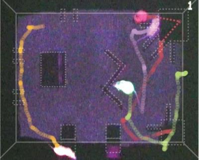 Mouse Groups Reveal Complex Relationships