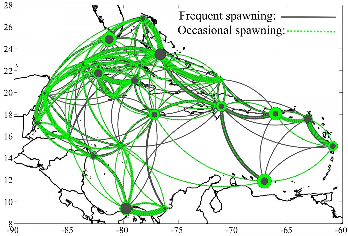 Spawning Graph