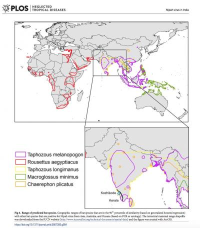 Geographic Ranges of Bat Species