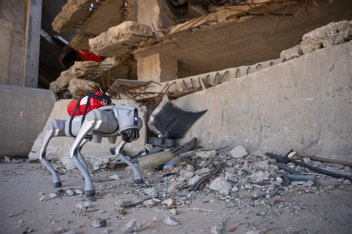 Robot dog in disaster zone