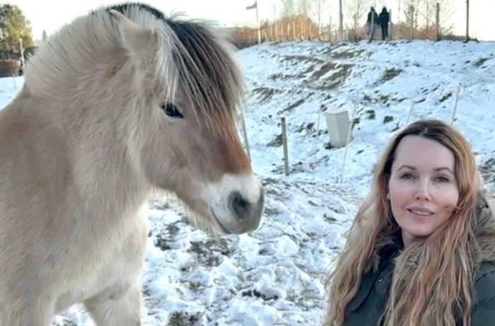 The horse doesn´t judge