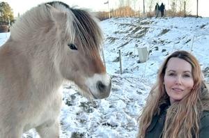 The horse doesn´t judge