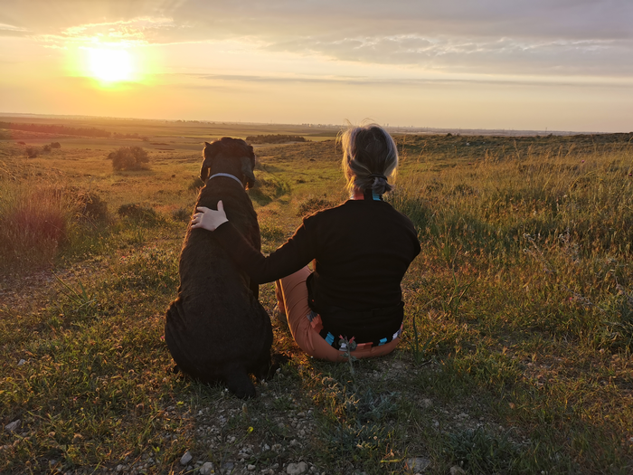 Spending time outside and getting quality sleep may promote wellbeing during COVID-19 restrictions