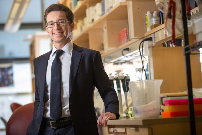 Dr. Stamler