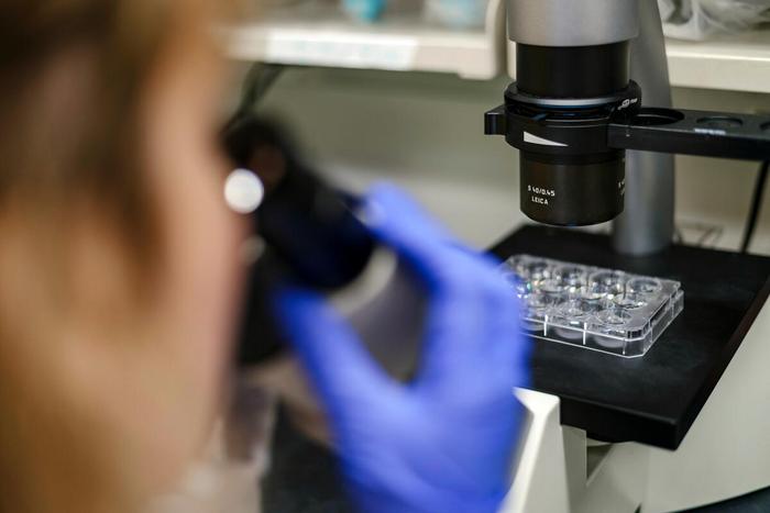MSK Research