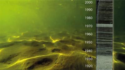 Lake Bed