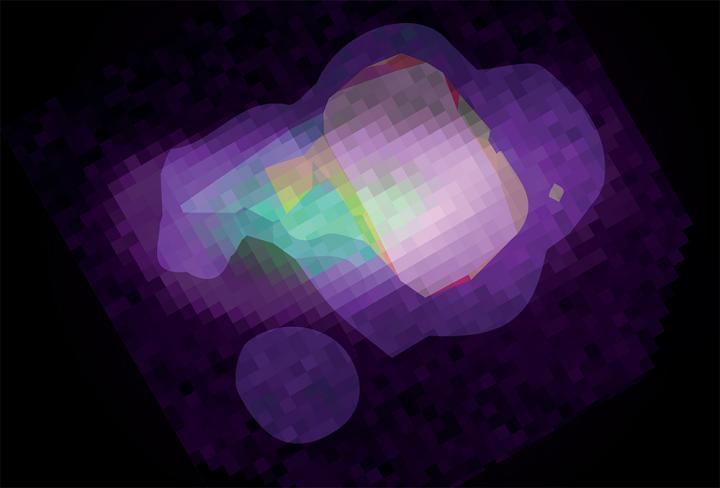 High-Resolution Rendering of the AI Attention Map Superimposed on <em>Toxoplasma gondii</em>