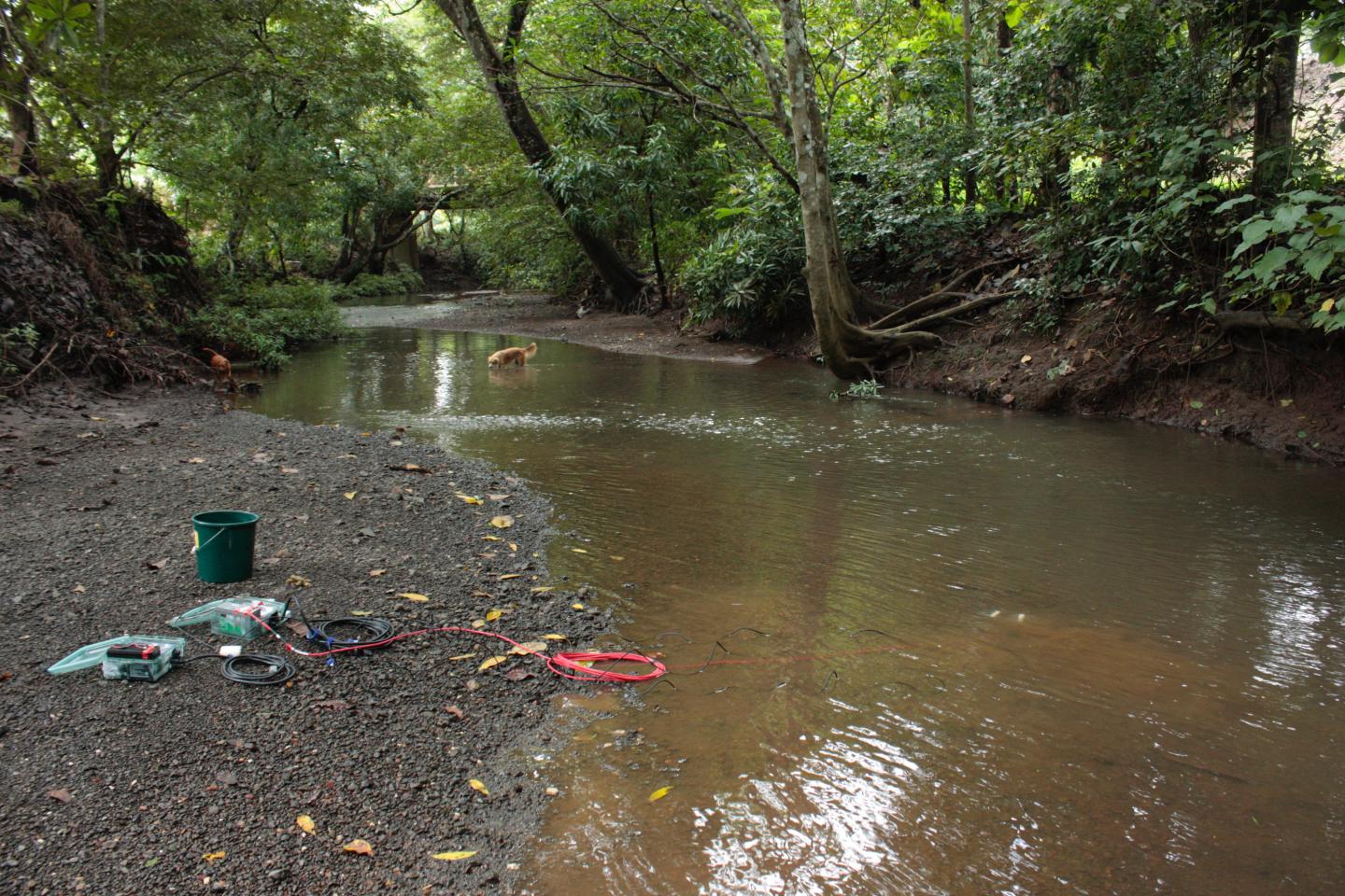 River Fieldwork