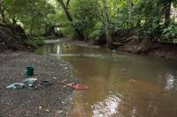 River Fieldwork