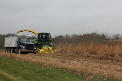 Robertson, Harvest