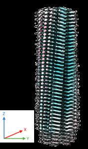 Cryo-EM map of a fibril