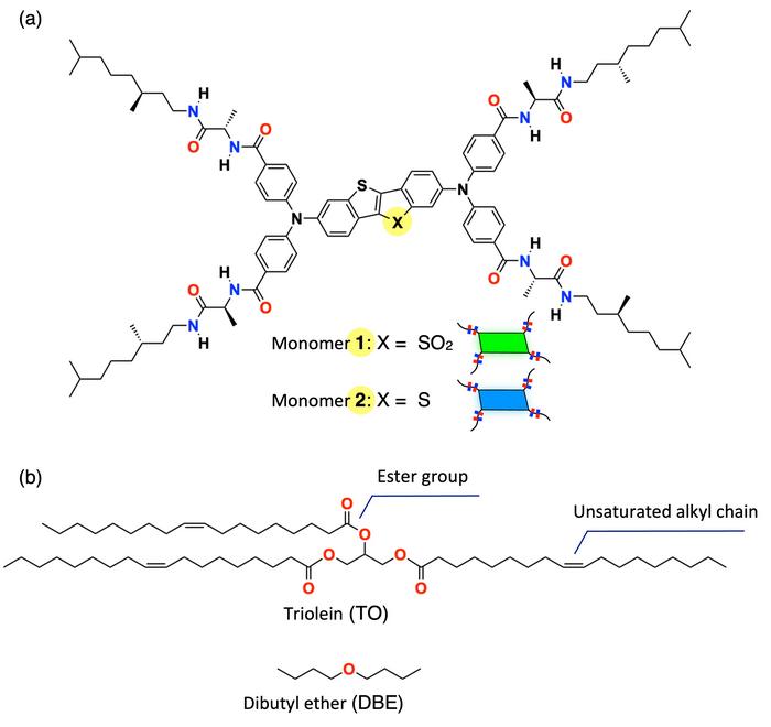 Chemical structures of the monomers used in the study