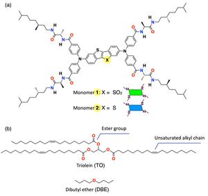 Chemical structures of the monomers used in the study