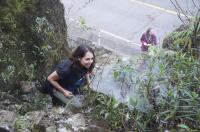 Spiders from Higher Elevation Live in Single-Family Groups