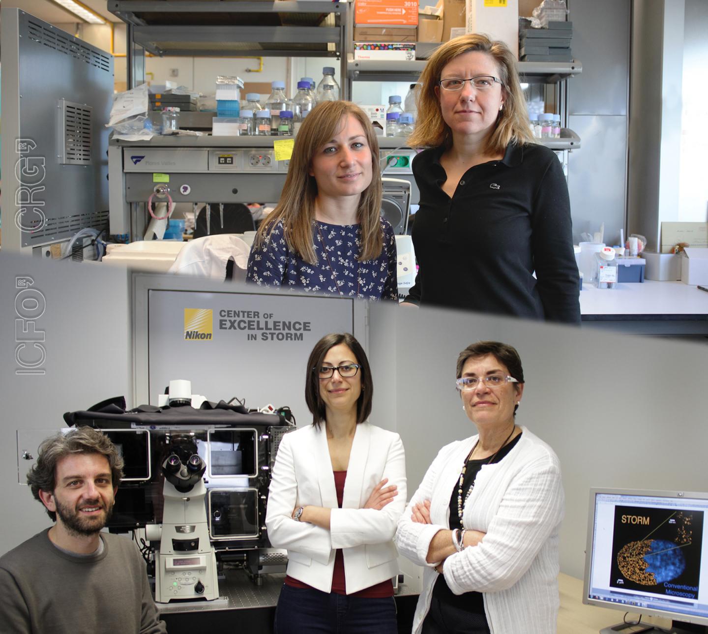 ICFO/CRG Research Team