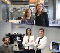 ICFO/CRG Research Team