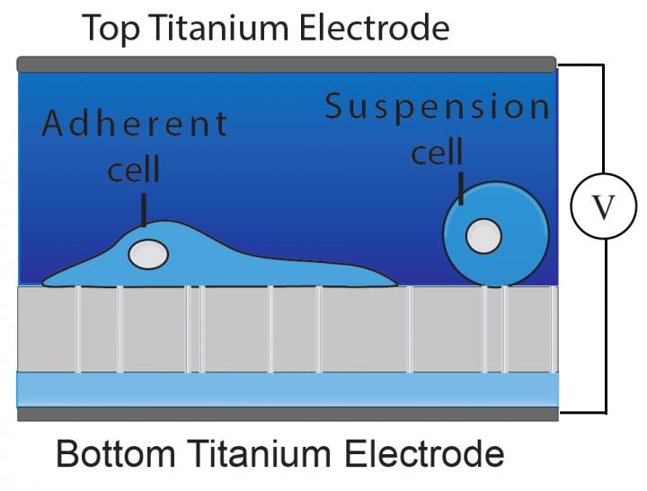 Formation ofNnanopores