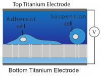 Formation ofNnanopores