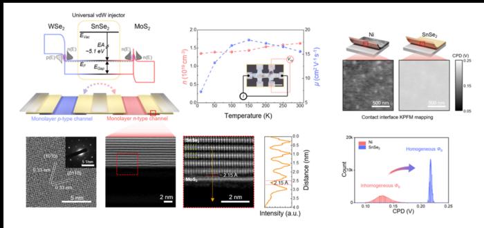Single Material Enables Efficient Charge Injection into Two Types of Ultrathin Semiconductors, Paving the Way for Smaller, More Energy-Efficient AI Chips
