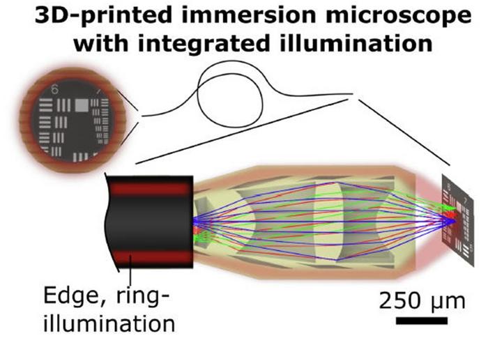 Figure | Micro-3D-printed endoscope-tip optics to combine illumination and microscopy in a single device.