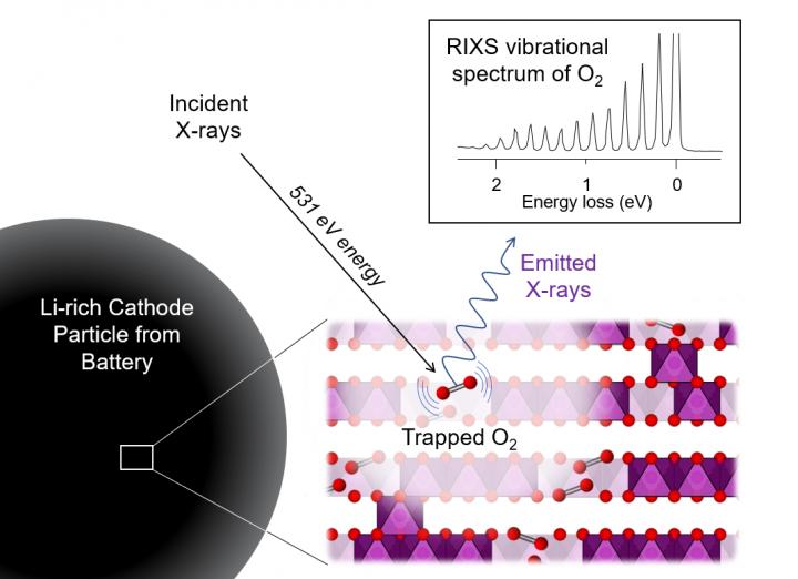 Schematic of the Experiment