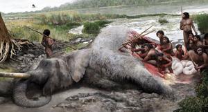 This illustration gives an idea of how Neanderthals would have butchered an elephant: they used flint tools to break open the thick elephant skin and then remove the organs and meat. Hunting a male elephant required a well organised group.