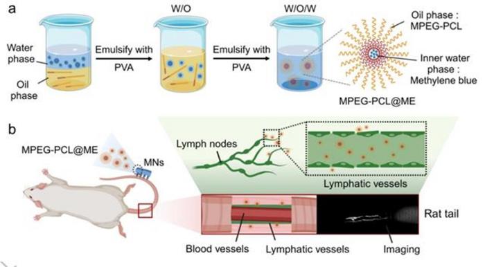 Design and lymphatic imaging workflow of MPEG-PCL@ME microneedles.