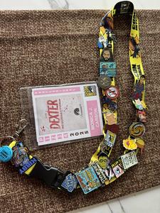Lanyard and pins
