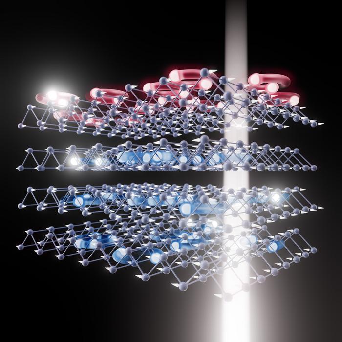 Excitons