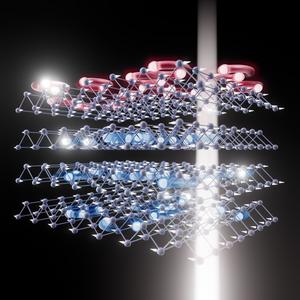 Excitons