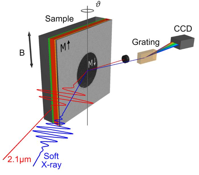 Schematic illustration of the experimental approach