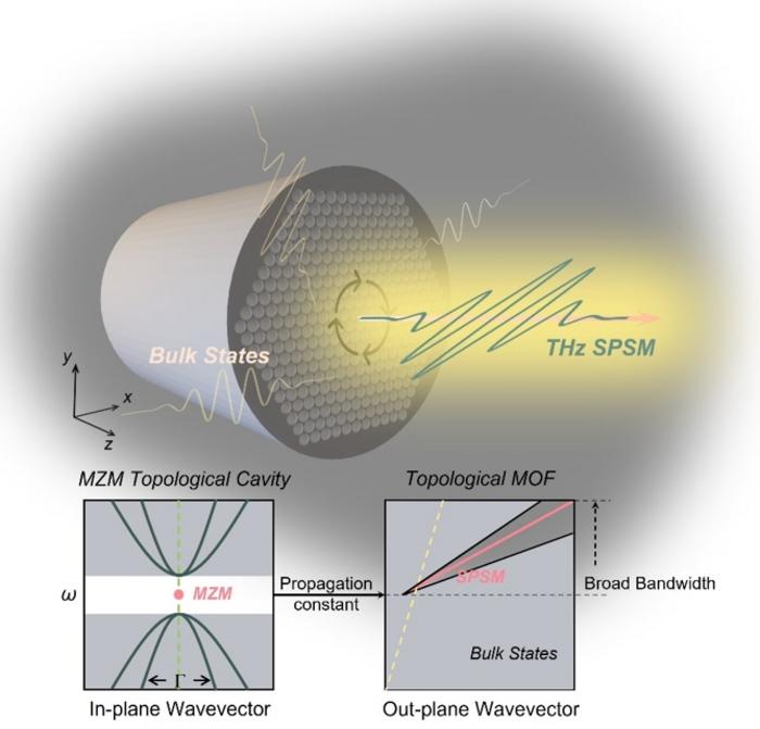 Figure | Schematic diagram of DVM in the THz photonic crystal fiber.