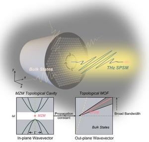 Figure | Schematic diagram of DVM in the THz photonic crystal fiber.