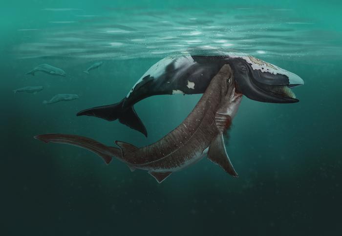 Painting of a shark scavenging on a whale