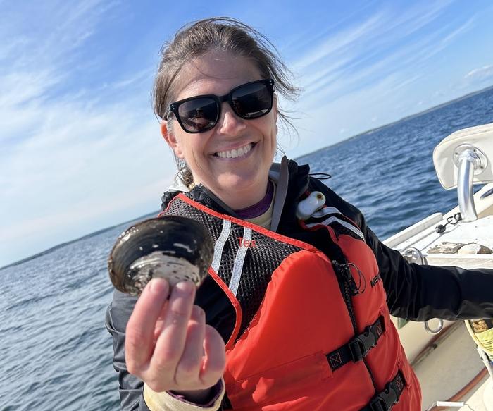 Gulf of Maine acidity
