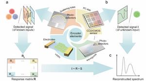 Figure | Schematic of the working principle of computational spectrometers.